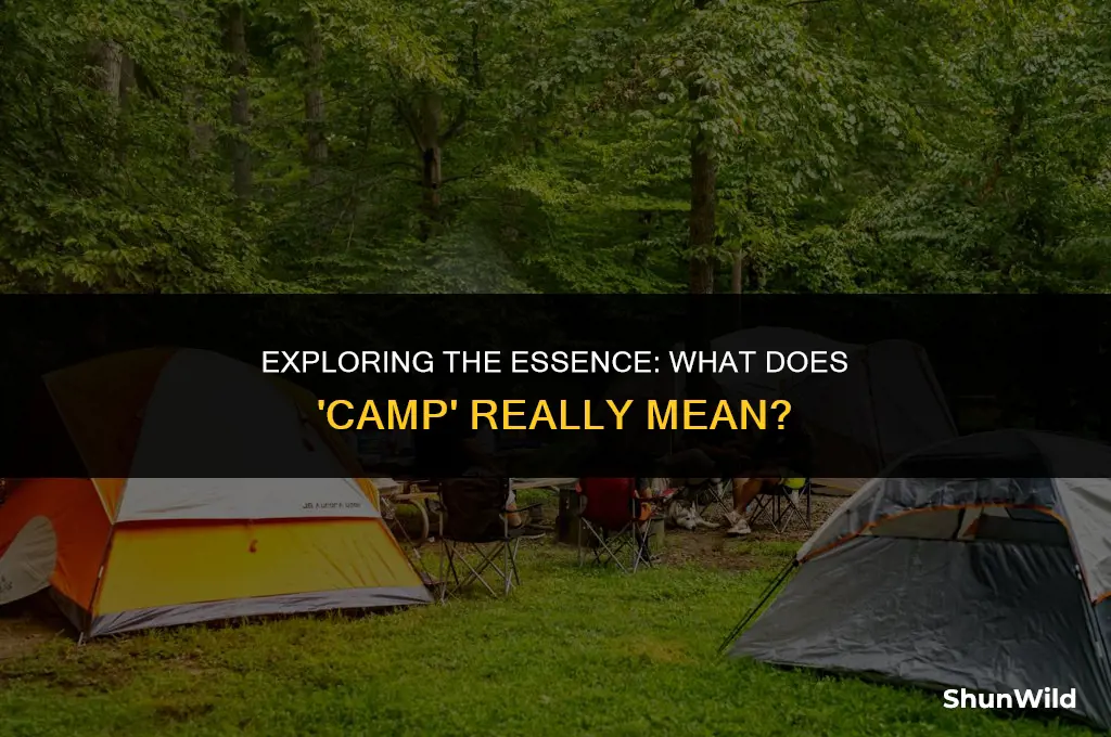 what is meaning of camp