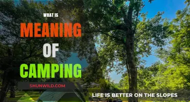 Exploring the Great Outdoors: What Camping Really Means