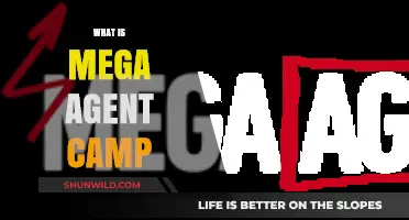 Unveiling the Mega Agent Camp: Your Gateway to Elite Performance