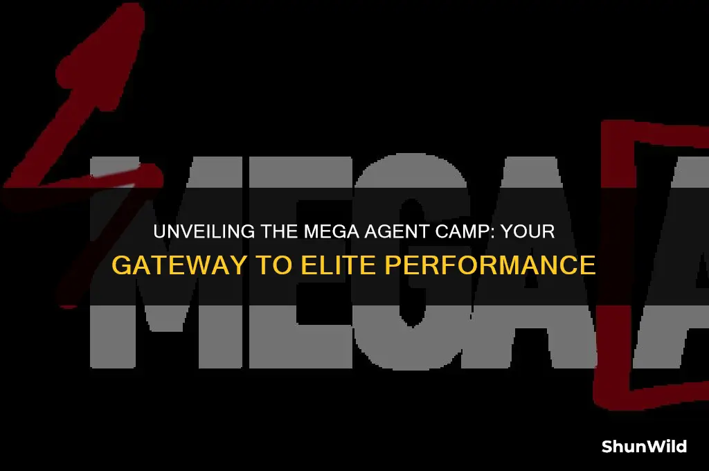 what is mega agent camp