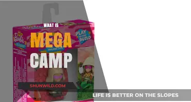 Exploring the Concept of Mega Camps: A Comprehensive Guide