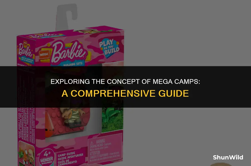 what is mega camp