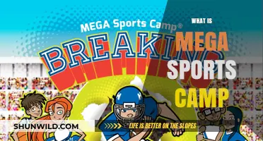 Unleash Your Potential: The Ultimate Guide to Mega Sports Camps