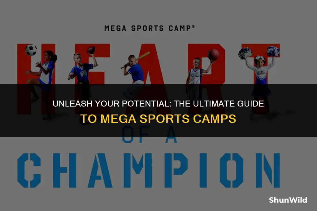 what is mega sports camp
