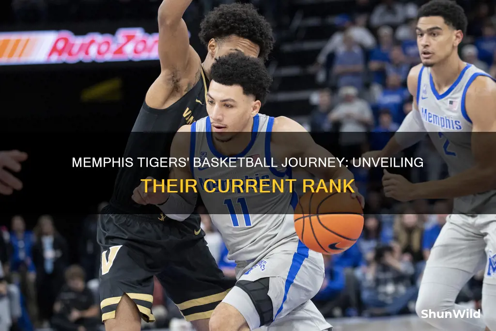 what is memphis tigers basketball ranked