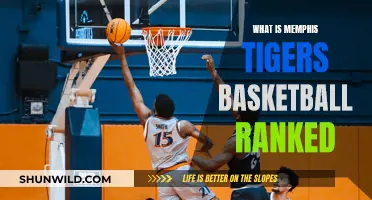 Memphis Tigers Basketball: Ranked High, Going Higher?