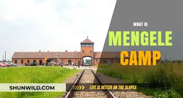 Unveiling the Horrors: Inside the Notorious Mengele Camp