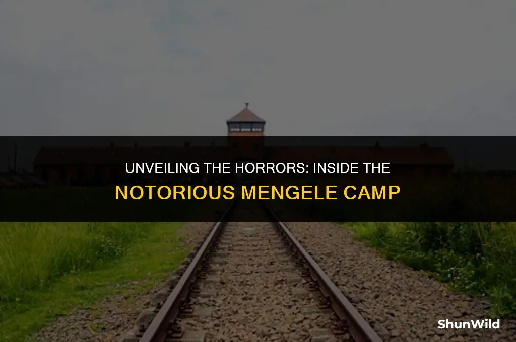 what is mengele camp
