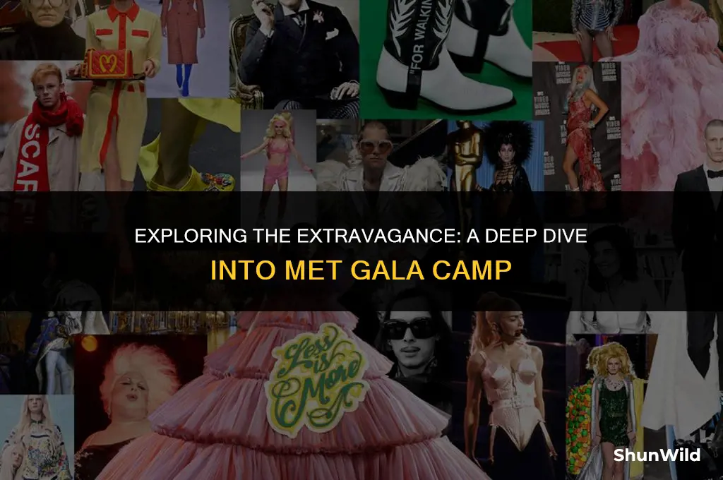 what is met gala camp