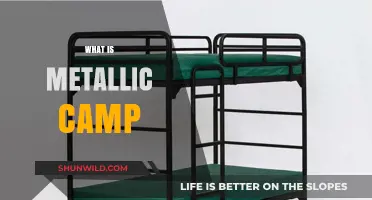 Exploring the Rustic Charm: What is a Metallic Camp?