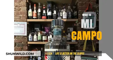 Exploring the Depths of 'Mi Campo': A Journey into the Heart of the Concept