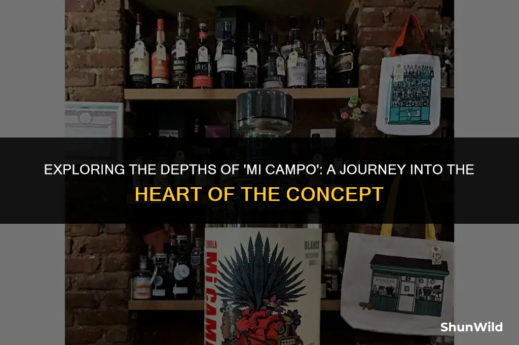 what is mi campo