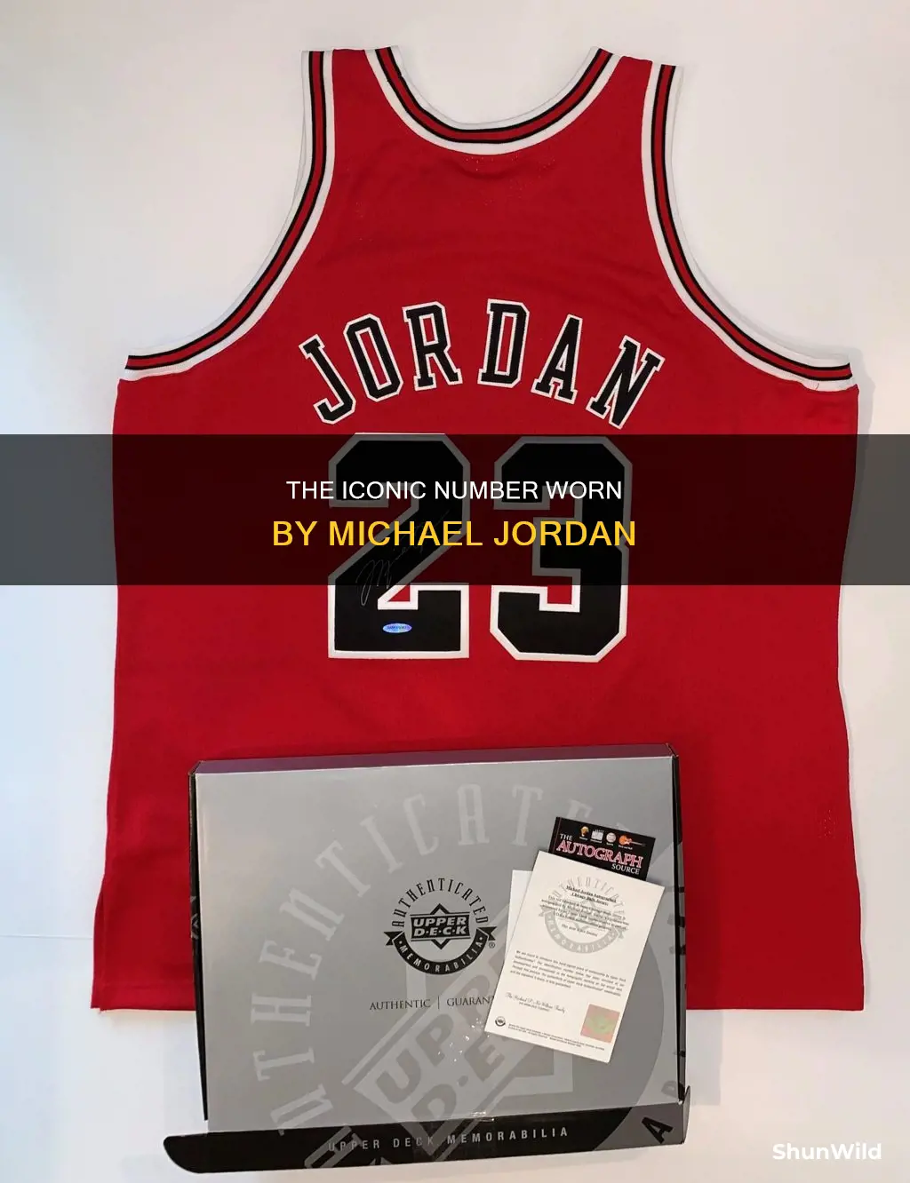 what is michael jordan