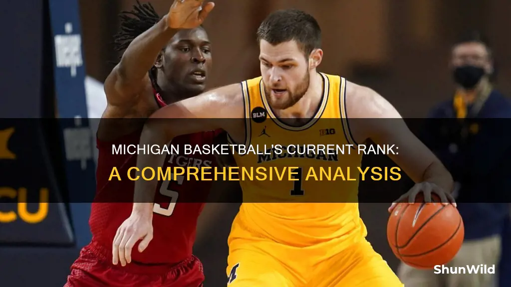 what is michigan basketball ranked