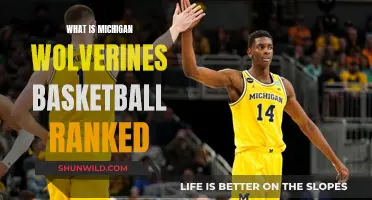 Wolverines' Basketball Journey: From 8th to 10th and Beyond