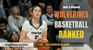 Wolverines Basketball Ranked: Where Does Michigan Place?