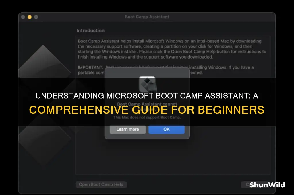 what is microsoft boot camp assistant