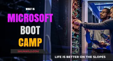 Microsoft Boot Camp Explained: Intensive Tech Training for Career Growth