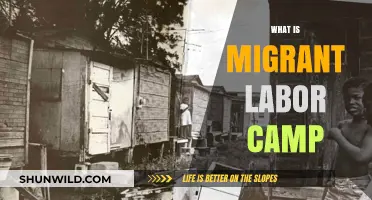 Understanding Migrant Labor Camps: A Comprehensive Guide