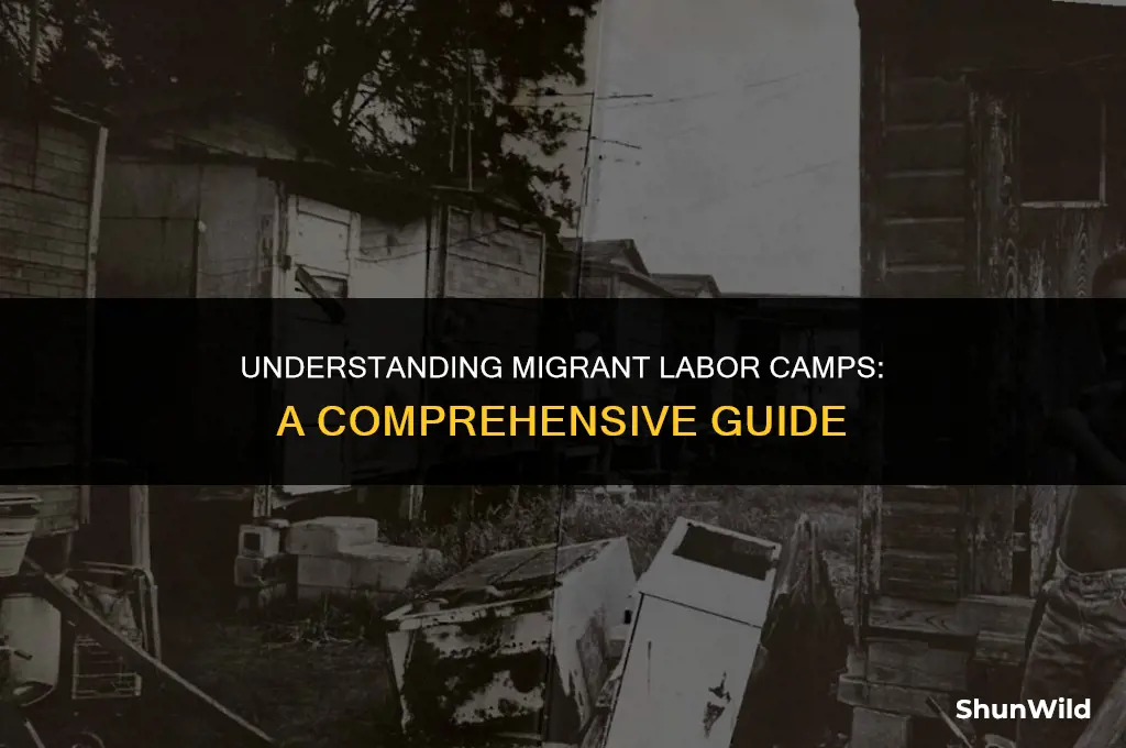 what is migrant labor camp