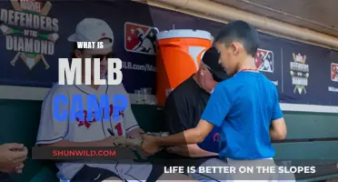 Exploring the Exciting World of MILB Camps: A Comprehensive Guide