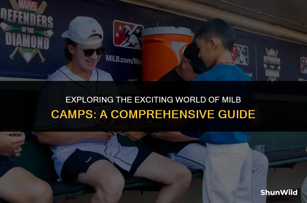 what is milb camp