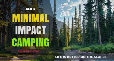 Embrace Nature Gently: The Art of Minimal Impact Camping