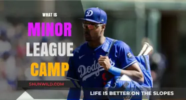 Exploring the Fundamentals of Minor League Baseball Camps