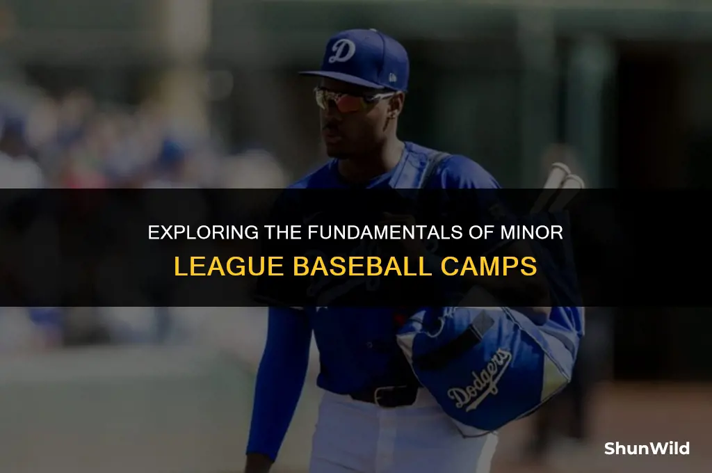what is minor league camp