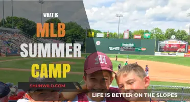Exploring MLB Summer Camp: A Fun-Filled Baseball Experience for Kids