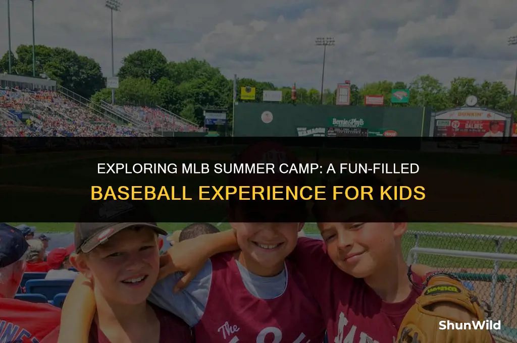 what is mlb summer camp