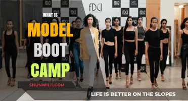 Model Boot Camp Explained: Transforming Aspiring Models into Professionals