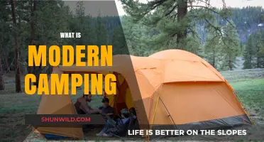 Exploring the Great Outdoors: A Guide to Modern Camping Essentials