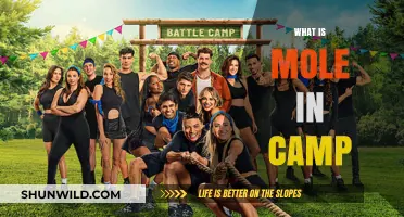 Exploring the Concept of Moles in Summer Camps