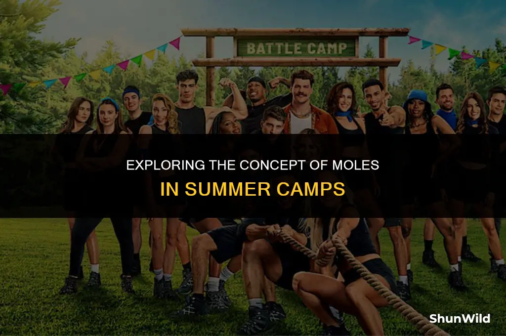 what is mole in camp