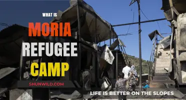 Unveiling the Reality of Moria: A Refugee Camp's Story