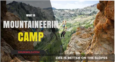 Exploring the Thrills: A Guide to Mountaineering Camps