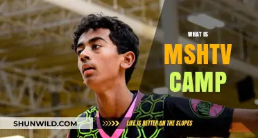 Exploring the Exciting World of MSHTV Camp: A Teen's Perspective