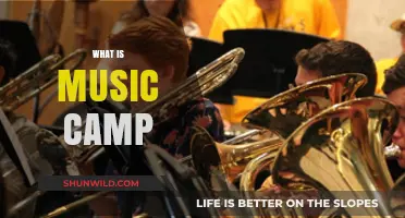 Exploring the World of Music: What is Music Camp?