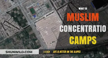 Understanding Muslim Concentration Camps: Origins, Impact, and Global Response