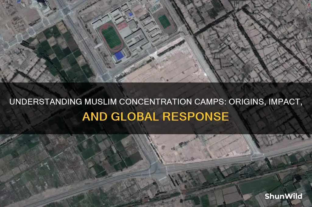 what is muslim concentration camps