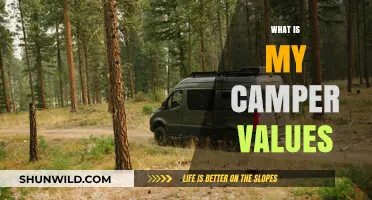 Exploring the Worth of Your Camper: A Comprehensive Valuation Guide