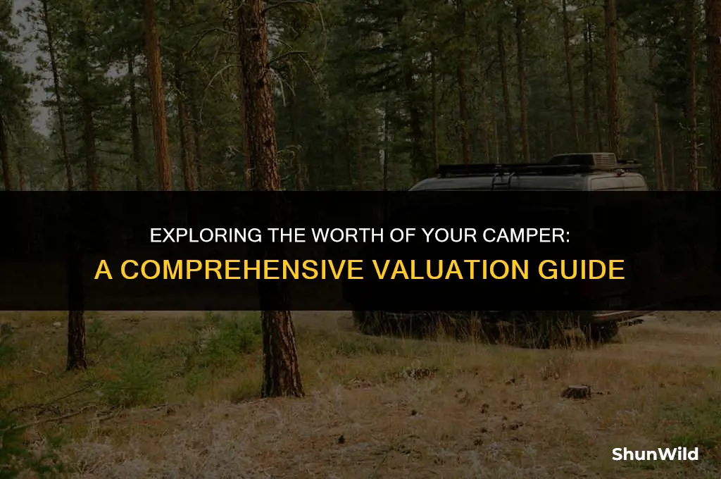 what is my camper values