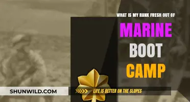 Understanding Your Rank After Completing Marine Boot Camp: A Beginner's Guide
