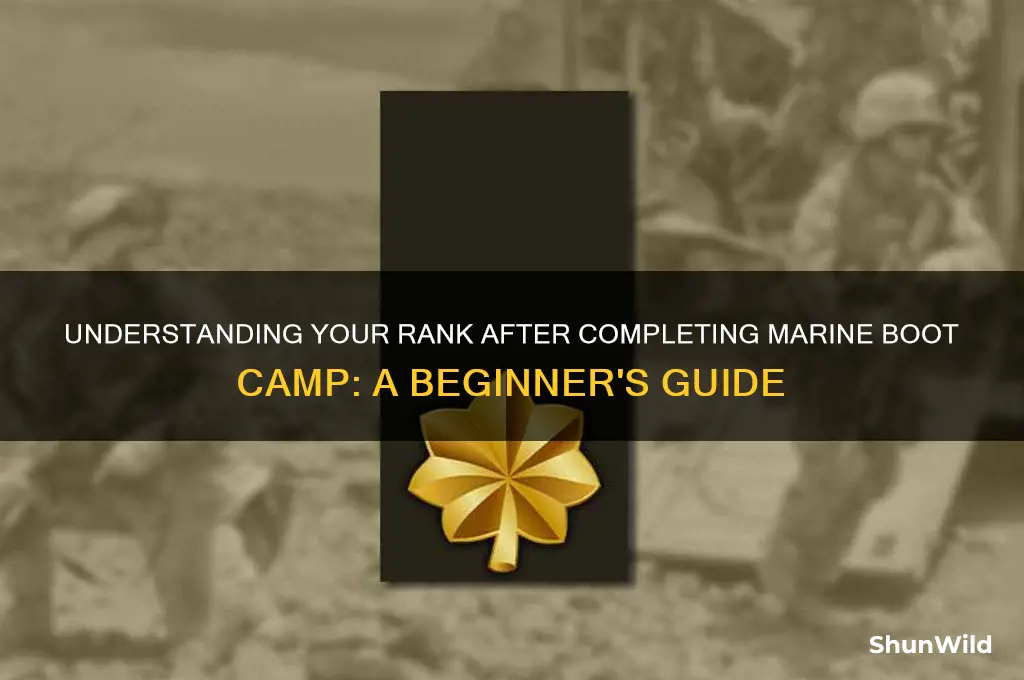 what is my rank fresh out of marine boot camp