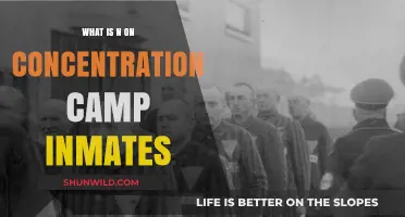 Understanding the Significance of 'N' on Concentration Camp Inmates