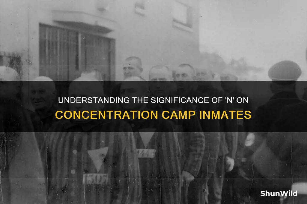 what is n on concentration camp inmates