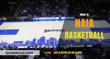 NAIA Basketball: What You Need to Know