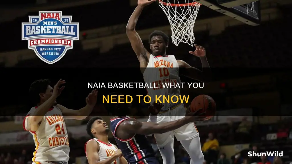 what is naia basketball