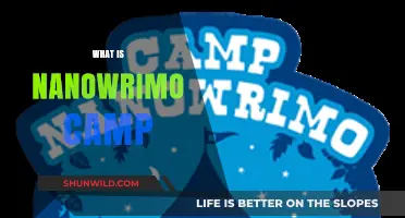 Exploring the Creative World of NaNoWriMo Camps